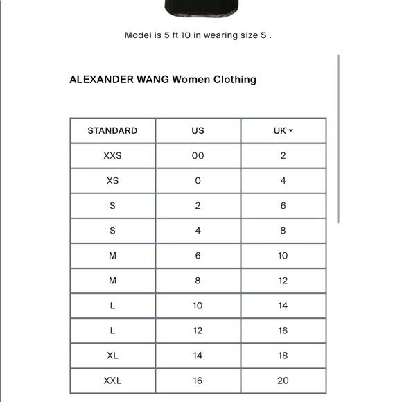 AUTHENTIC Alexander Wang Stacked Logo Mesh Tee - Picture 16 of 16